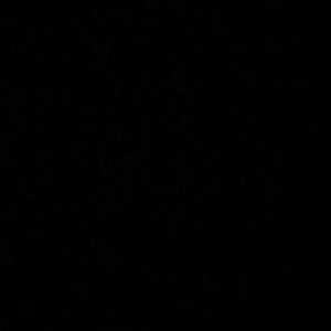 Meet your Posher, balla